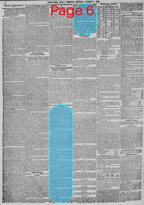 Page thumbnail for New York Daily Tribune