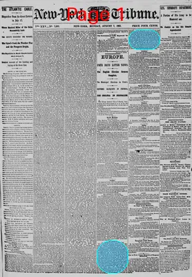 Page thumbnail for New York Daily Tribune
