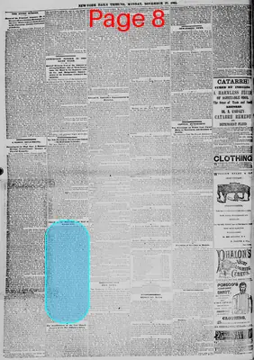 Page thumbnail for New York Daily Tribune