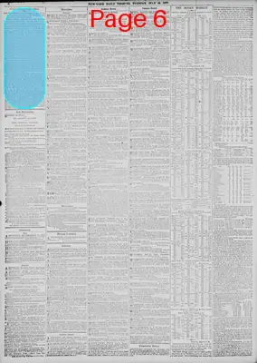 Page thumbnail for New York Tribune