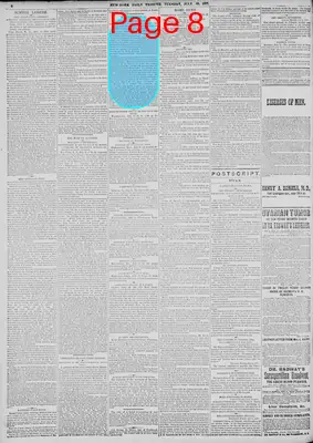Page thumbnail for New York Tribune