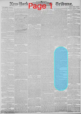 Page thumbnail for New York Tribune