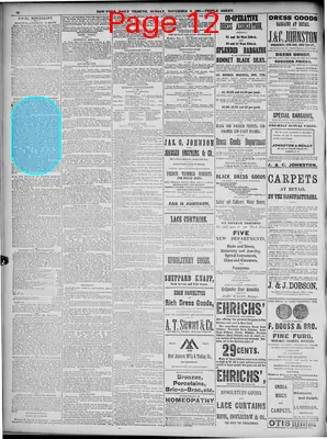 Page thumbnail for New York Tribune