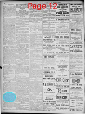 Page thumbnail for New York Tribune