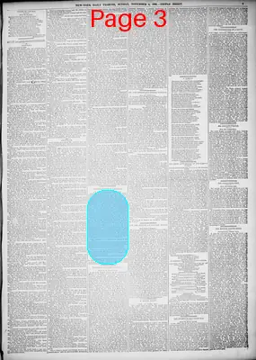 Page thumbnail for New York Tribune