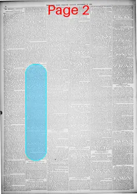 Page thumbnail for New York Tribune