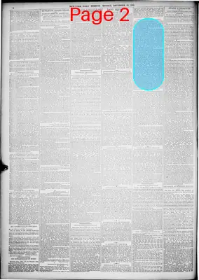 Page thumbnail for New York Tribune