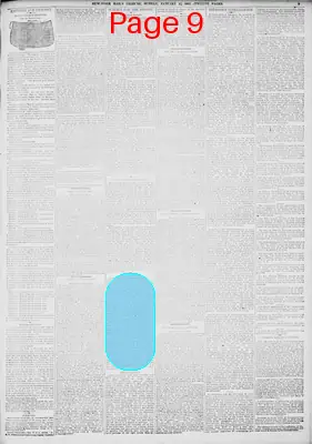 Page thumbnail for New York Tribune
