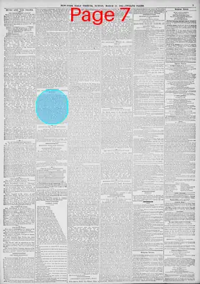 Page thumbnail for New York Tribune