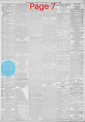 Page thumbnail for New York Tribune