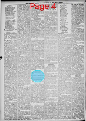 Page thumbnail for New York Tribune