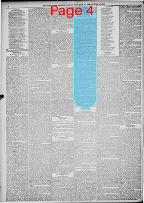 Page thumbnail for New York Tribune