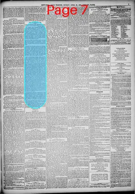 Page thumbnail for New York Tribune