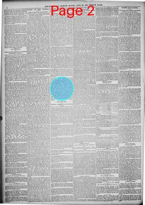 Page thumbnail for New York Tribune
