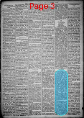 Page thumbnail for New York Tribune