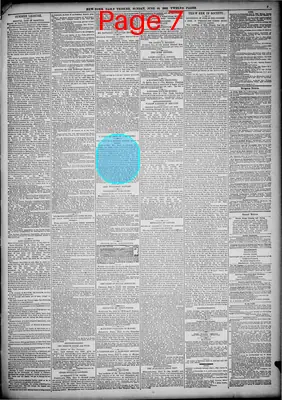 Page thumbnail for New York Tribune