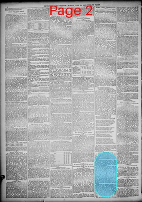 Page thumbnail for New York Tribune