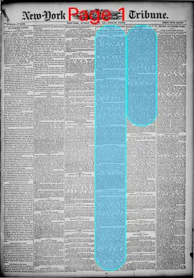 Page thumbnail for New York Tribune