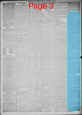 Page thumbnail for New York Tribune