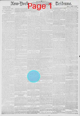 Page thumbnail for New York Tribune
