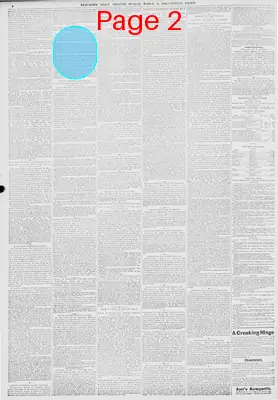 Page thumbnail for New York Tribune