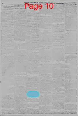 Page thumbnail for New York Tribune
