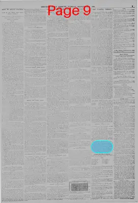 Page thumbnail for New York Tribune