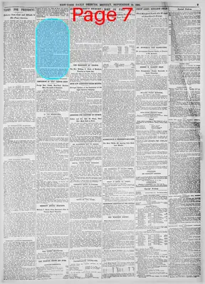 Page thumbnail for New York Tribune