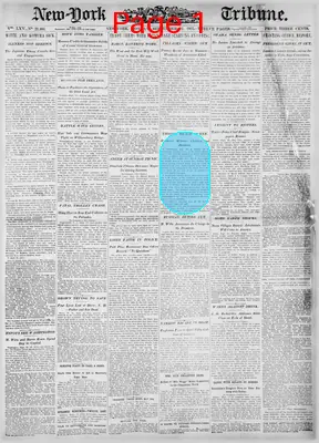 Page thumbnail for New York Tribune