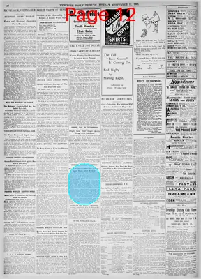 Page thumbnail for New York Tribune