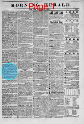 Page thumbnail for Morning Herald