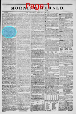 Page thumbnail for Morning Herald