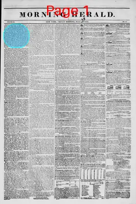 Page thumbnail for Morning Herald
