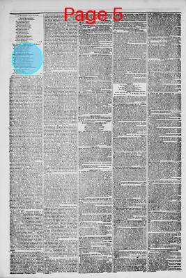 Page thumbnail for Morning Herald