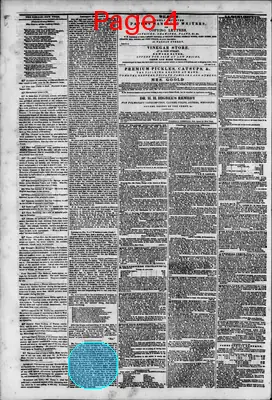 Page thumbnail for Morning Herald