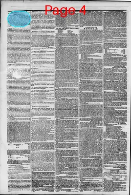 Page thumbnail for Morning Herald