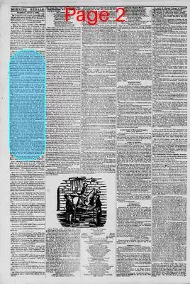 Page thumbnail for Morning Herald