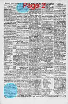 Page thumbnail for Morning Herald