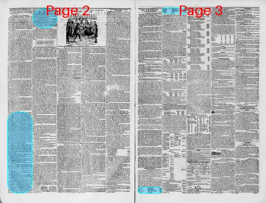Page thumbnail for Morning Herald