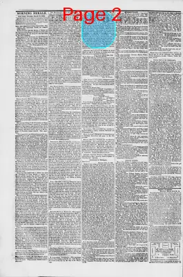Page thumbnail for Morning Herald