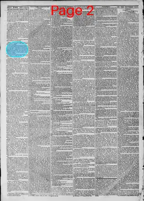 Page thumbnail for The New York Herald