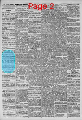 Page thumbnail for The New York Herald