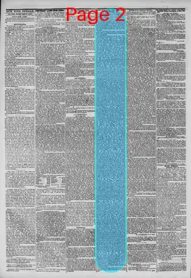 Page thumbnail for The New York Herald