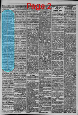 Page thumbnail for The New York Herald