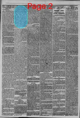 Page thumbnail for The New York Herald