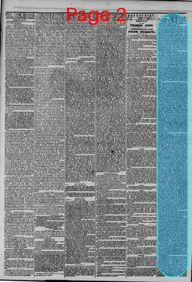 Page thumbnail for The New York Herald