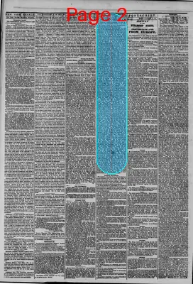 Page thumbnail for The New York Herald