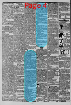 Page thumbnail for The New York Herald