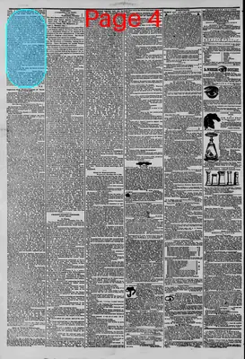 Page thumbnail for The New York Herald