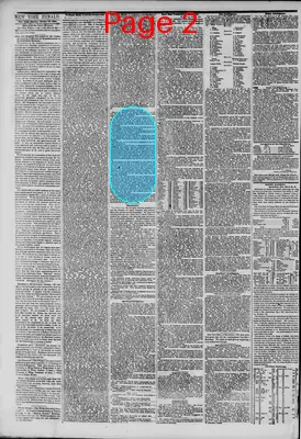 Page thumbnail for The New York Herald